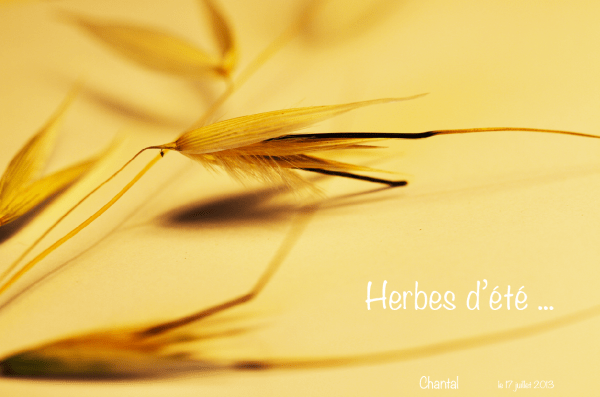 Capture d’écran 2013-07-17 à 17.06.44